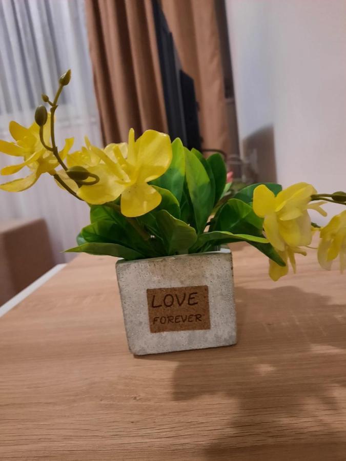 Apartman Rada 2 Bijeljina Extérieur photo